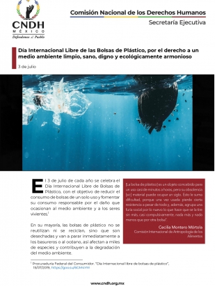 Día Internacional Libre de las Bolsas de Plástico, por el derecho a un medio ambiente limpio, sano, digno y ecológicamente armonioso