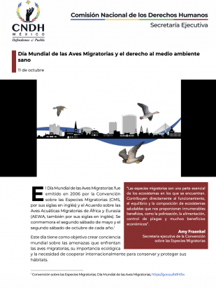 Día Mundial de las Aves Migratorias y el derecho al medio ambiente sano
