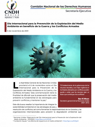 Día Internacional para la Prevención de la Explotación del Medio Ambiente en beneficio de la Guerra y los Conflictos Armados