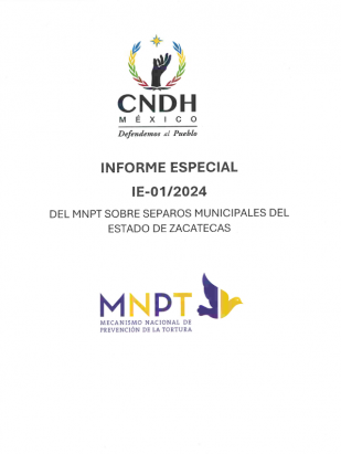 Informe Especial IE-01/2024