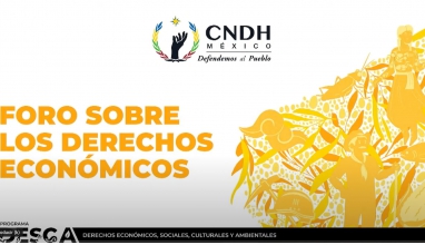 Foro sobre derechos económicos